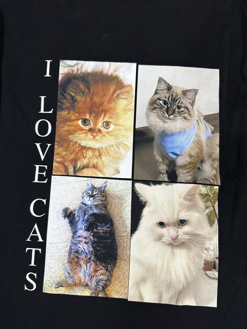 SS20 Balenciaga I Love Cats
