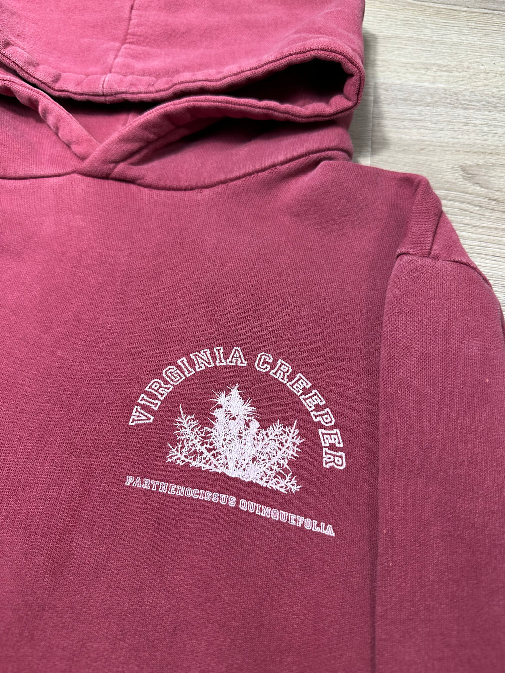 AW02 Raf Simons Virginia Creeper Logo Hoodie