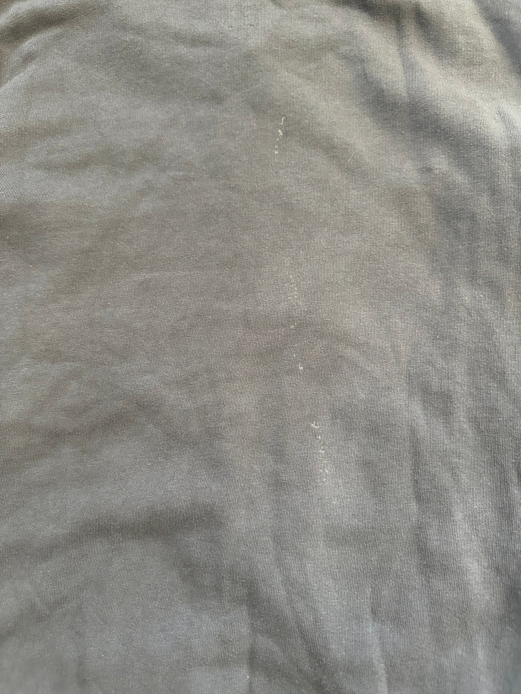 AW10 Rick Owens Dark Dust Mountain Hoodie Size M