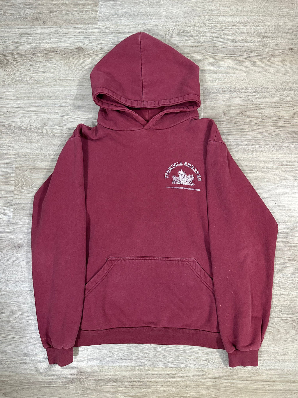 AW02 Raf Simons Virginia Creeper Logo Hoodie